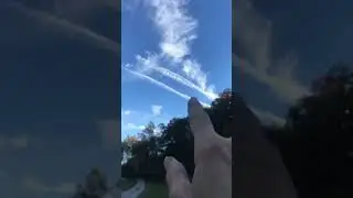 Воздушное преследование банды с целью &laquo;X&raquo; на ферме в Кентукки, номинации | Соучастник PVA, ухажив...