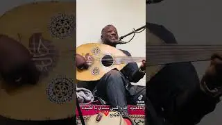 سهرة في القمة مع الفنان مصطفى حالة 👏🎻🪘