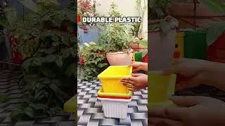 Meesho Veggies & Flower Pot 🌱| Affordable Planter for Home & Balcony Garden #flowers #garden #plants
