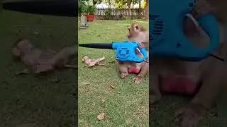 When a Level 1 player finds a Level 100 weapon 💨✨😂