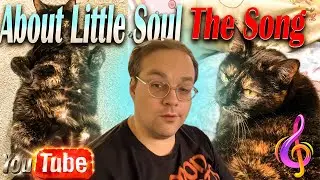 About Little Soul, the song I wrote for Zut 🐈&zwj;⬛ 