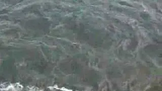 At the brink of the Niagara Falls
