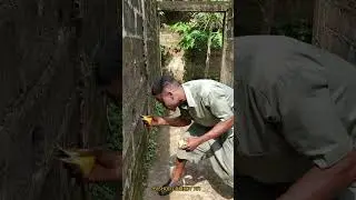 twinscrown #trending #stellar #viral #video  #comedy #shorts #subscribe #funny #trendingshorts #fly