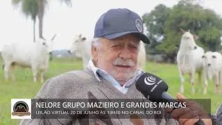 Leilão Nelore Grupo Mazieiro e Grandes Marcas 20 de junho às 19h30 no Canal do Boi