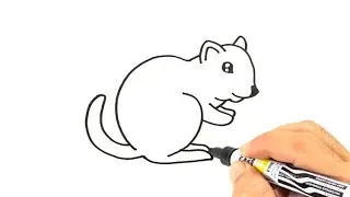 How to Draw a Chipmunk Step by Step Easy 