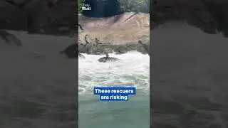 Boy stranded on rock rescued from rough sea