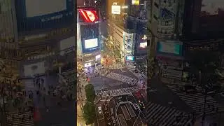 Shibuya Crossing on a busy Friday night