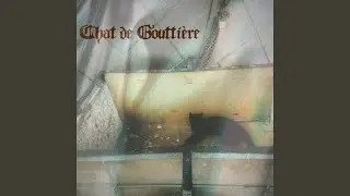 Chat de goutti&egrave;re