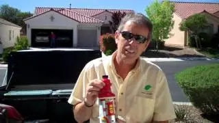 DIY - How To Get Red Dye Out Of Your Carpet