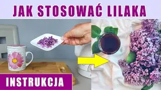 Jak stosować lilak pospolity zewnętrznie i wewnętrznie | Instrukcja obsługi