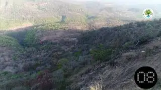 Patalkot