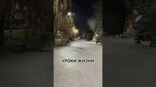 УРОКИ ЖИЗНИ, Мудрость