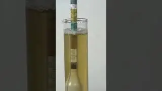 Reading ABV on a hydrometer #homebrew #science #homemade #bottle #cider #mead #abv
