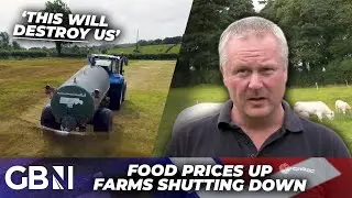'Killing Cows for Climate Goals' | Net Zero Phosphate Laws Imposed on NI will DESTROY Farming