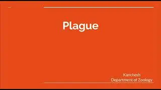 Plague a flea borne disease