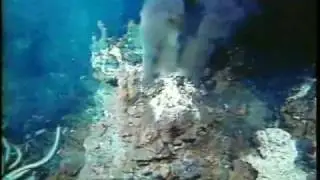 Scientists Find Previously Unknown Sea Creatures