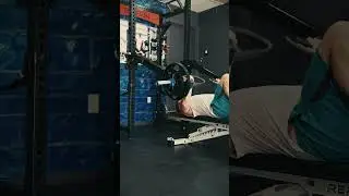 Griffin Fitness Adjustable Lever Arms 2.0 (New & Improved)