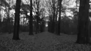 Anthony Oomen Soundscape