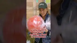 DIY Candy Decor 🍬