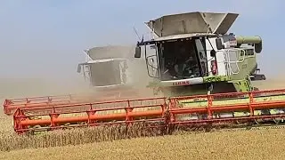 Weizenernte 3x Claas Lexion 770,Fendt 828/Kr&ouml;ger Agroliner,John deere 7920/Annaburger Schubmax