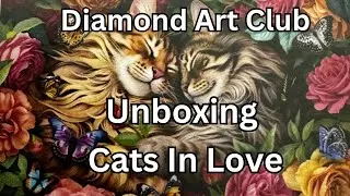 Diamond Art Club Diamond Painting Unboxing - Cats In Love - Opening The Vault - Diamond Art
