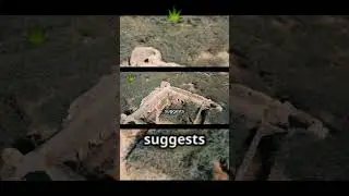 Tiscali: Sardinia&rsquo;s Lost Bronze Age Village (Archaeological Mystery Explained)