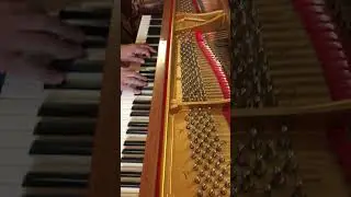 Piano Steinway Model S Hamburg - Berlin Mitte