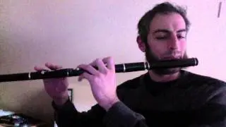 The Butterfly Slip Jig - Irish Flute - slow/fast