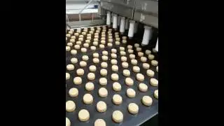 Neofood.de Intellestamp wire cut