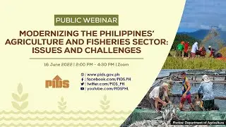Modernizing the Philippines Agriculture and Fisheries Sector: Issues and Challenges