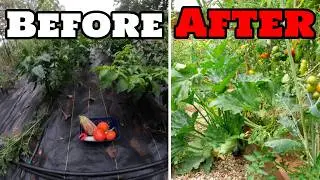 Why I'm DOWNSIZING My Garden