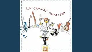Piatti grancassa percussioni