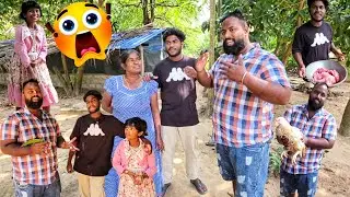 பண்ணையின் நிலைமை என்ன?😯 Sanjana Farm | Jaffna Tamil Vlogs