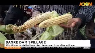 Bagre Dam Spillage: Why Ghana has failed to protect farms amd lives after spillage - The Big Agenda