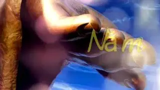 Ngàn Năm Một Kiếp Người .