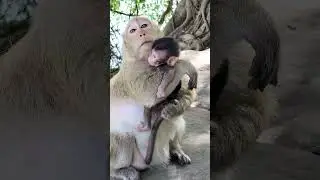 Brinn firmly hugs infant Blaze