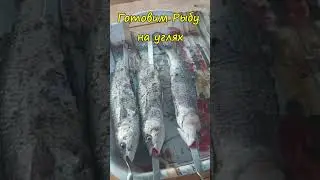 Grilled fish #recipes #howtocook #recipe #fishonthegrill #food