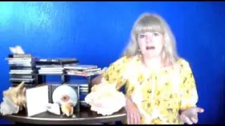 PV8