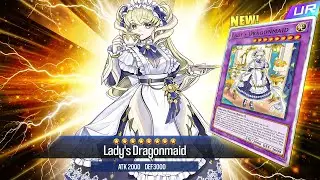 New Dragonmaid Support Is FINALLY HERE!! - Yu-Gi-Oh! Master Duel