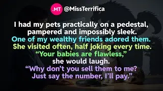 I had my pets practically on a pedestal, pampered and impossibly sleek...