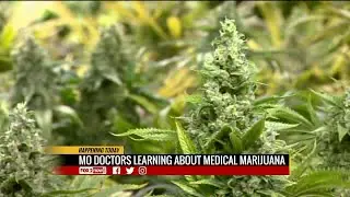 Missouri doctors learn about medical cannabis