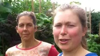 From Bare Dirt To Abundance A Year In The Life Of The Love For Life Food Forest