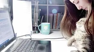 Study with me en Directo Método Pomodoro