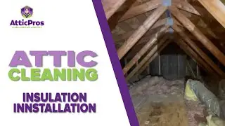 Your House Is At Risk If You Don't Do This (Attic Cleaning and Insulation)