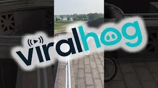 BMX Circular Wall Riding Trick || ViralHog