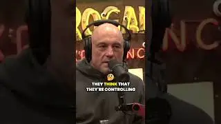Joe Rogan on Hedge funds and institutional investors in the housing market