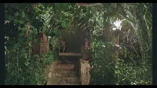 🌧️🎶 Serene Notes ASMR - Corridor Rain & Birdsong 🎶🌧️