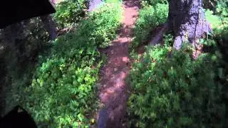 Cumbres Pass CDT trail mountain bike ride - chase from behind