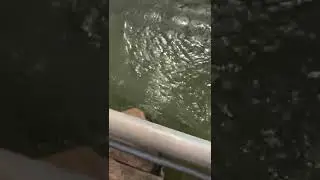 Nira river in rainy season