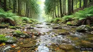 Beautiful Forest Stream Sounds 🌿💧 | Peaceful Nature for Sleep, Relaxation & Focus